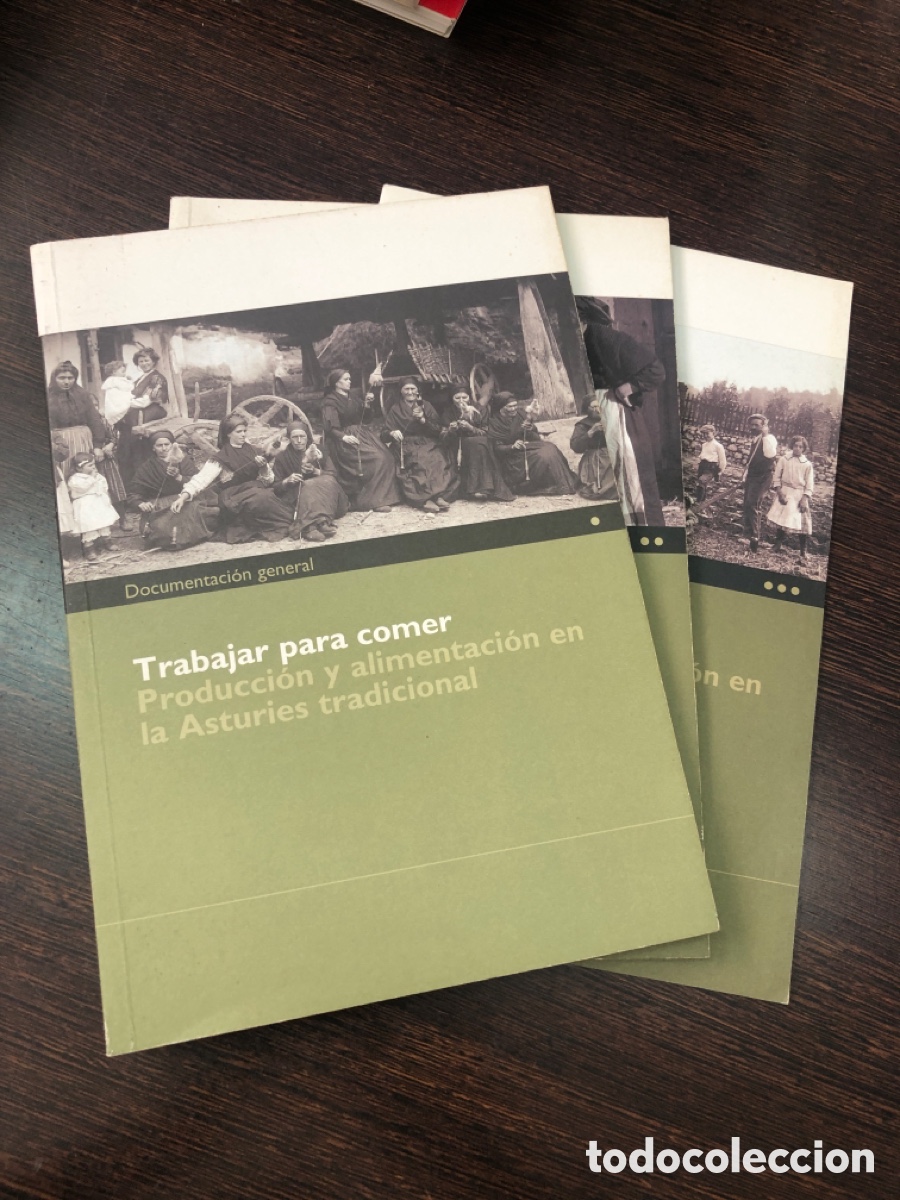 Libros: TRABAJAR PARA COMER PRODUCCION Y ALIMENTACION EN LA ASTURIES TRADICIONAL AYUNTAMIENTO GIJON 3 TOMOS