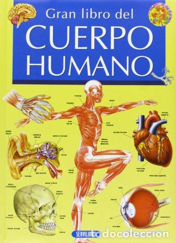Libros: Gran libro de cuerpo humano