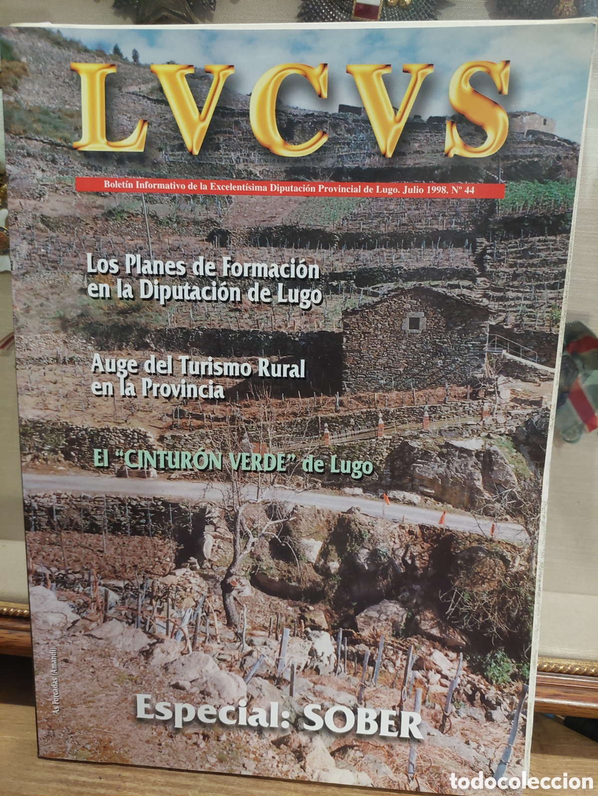 Libros: REVISTA LVCVS BOLETIN ESPECIAL SOBER N&Uacute;MERO 44 1998