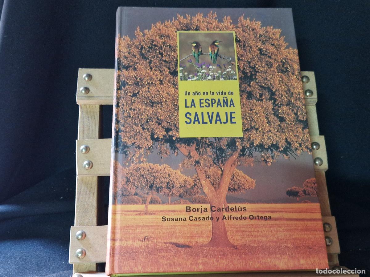 Libros: UN A&Ntilde;O EN LA VIDA DE LA ESPA&Ntilde;A SALVAJE. BORJA CARDELUS. SUSANA CASADO Y ALFREDO ORTEGA.