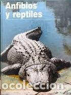 Libros: Animales del mundo - Anfibios y reptiles