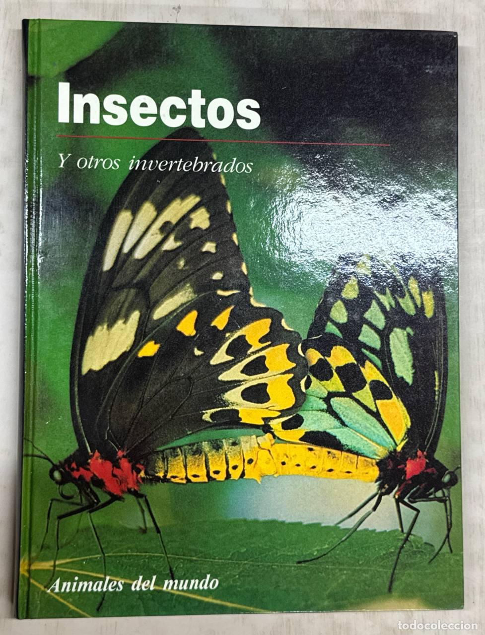Libros: Animales del mundo: Insectos y otros invertebrados.