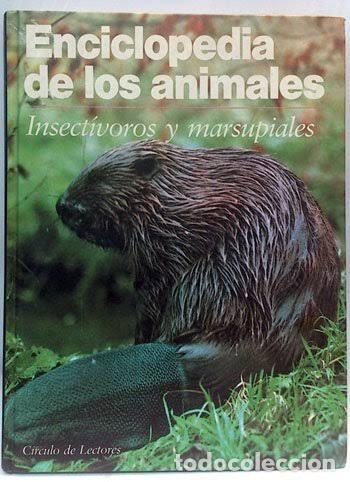 Libros: Insect&iacute;voros y marsupiales