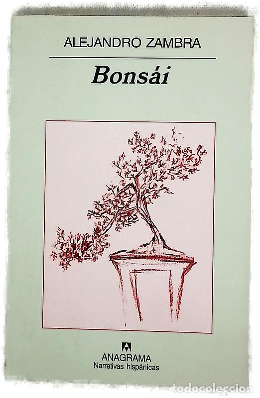 Libros: Bons&aacute;i - Zambra, Alejandro