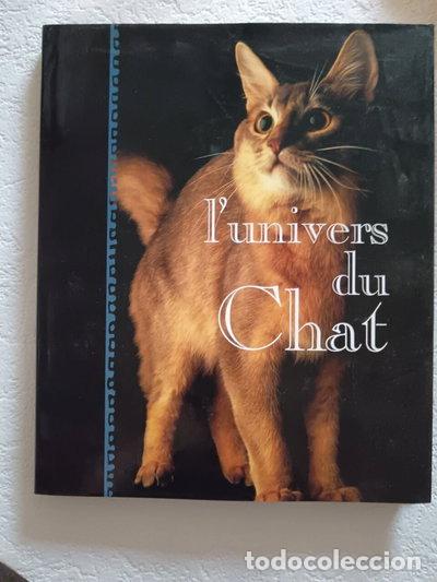 Libros: L'univers du chat- 9782744130038
