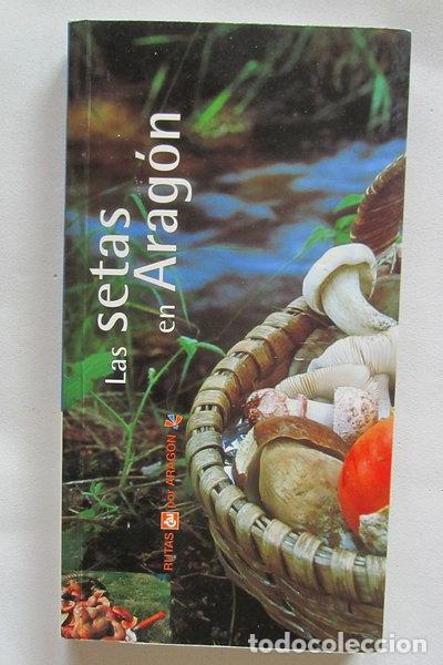 Libri di seconda mano: Las setas en Arag&oacute;n Rutas por Arag&oacute;n- 9788496007185