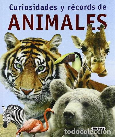 Libri di seconda mano: Curiosidades y r&eacute;cords de animales- 9788430572236