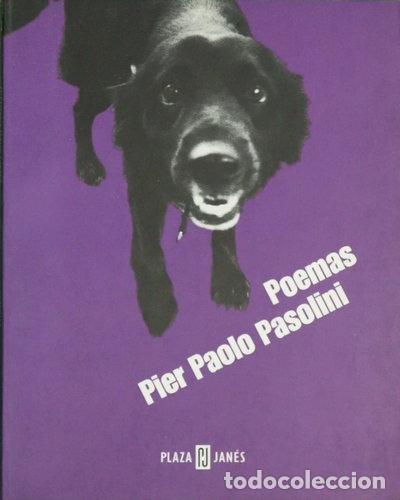 Libros: Poemas- 9788401590078