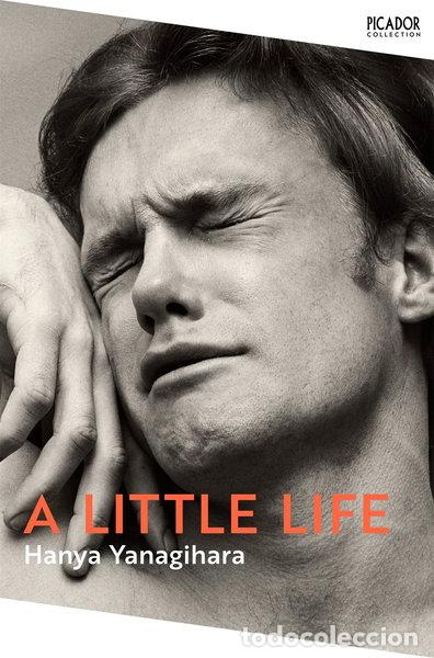 Livres: A Little Life- 9781529077216