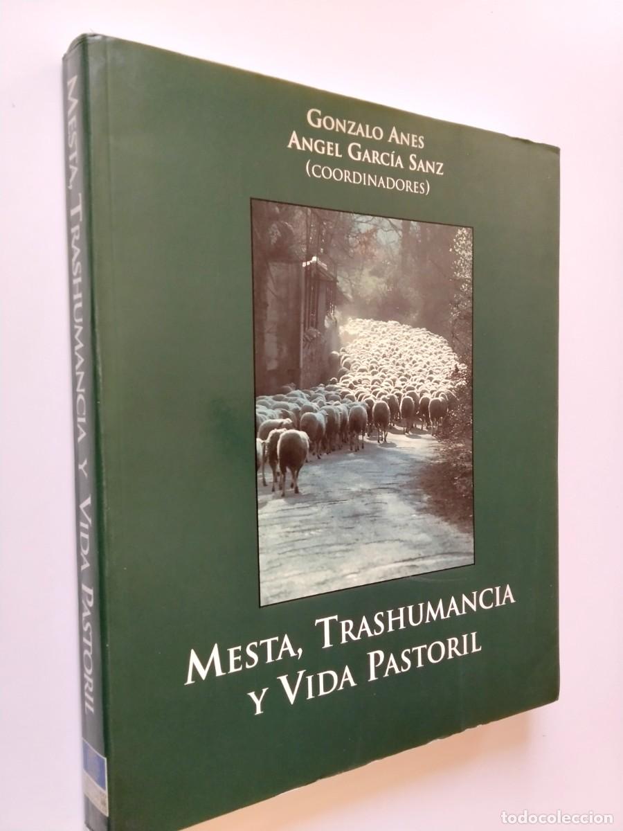 Libros: Gonzalo Anes y &Aacute;ngel Garcia Sanz (Coordinadores) - Mesta, trashumancia y vida pastoril
