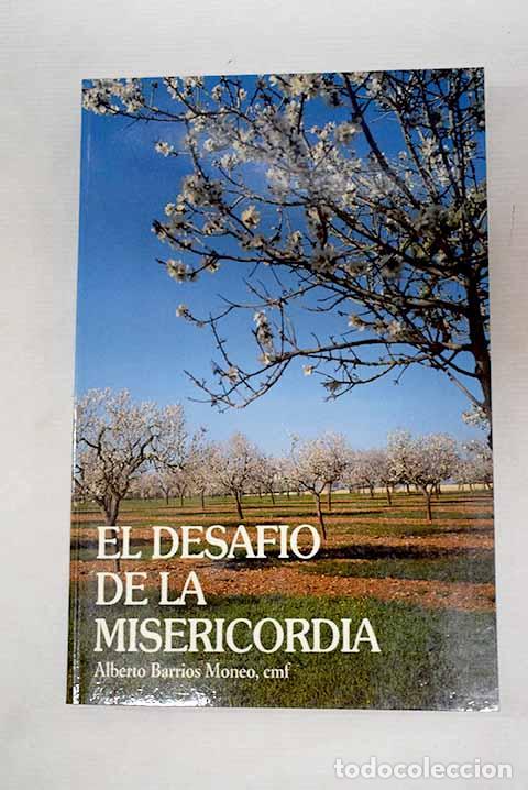 Libros: El desaf&iacute;o de la misericordia: el carisma de las Franciscanas Hijas de la Misericordia