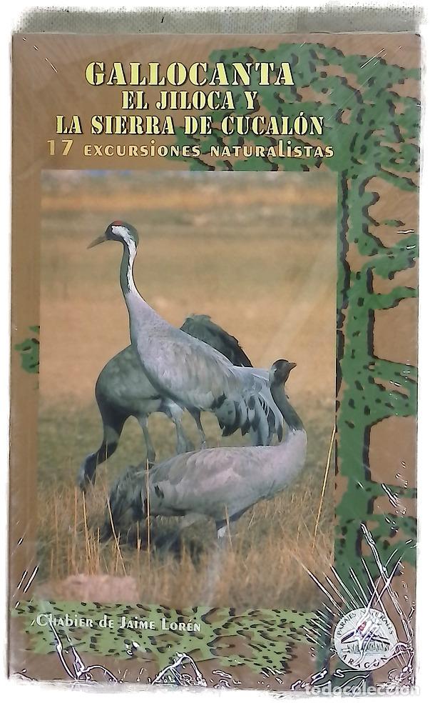 books: Gallocanta, el Jiloca y la sierra de Cucal&oacute;n