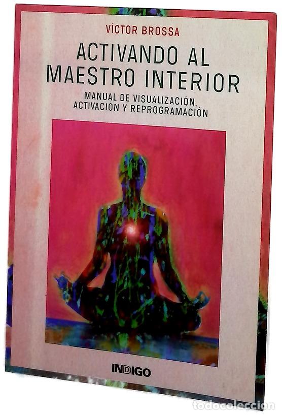 books: Activando al maestro interior : manual de visualizaci&oacute;n, activaci&oacute;n y reprogramaci&oacute;n