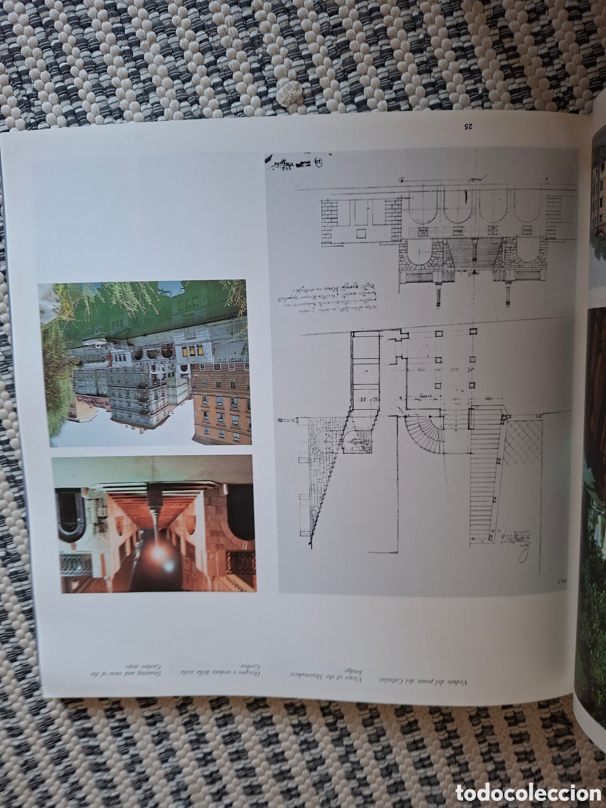 Libros: Lotus Internacional N&deg;59 - Foto 4