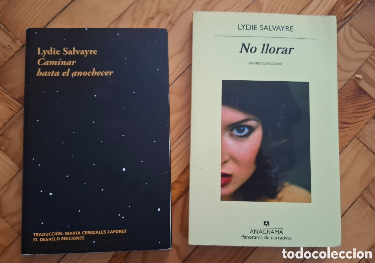 Libros: Lydie Salvayre &ndash; Caminar hasta el anochecer + No llorar