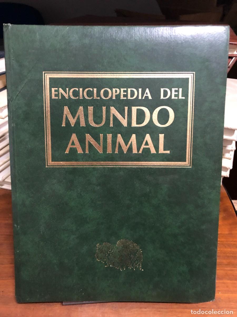 Libros: Enciclopedia del Mundo Animal (Tomo 10)
