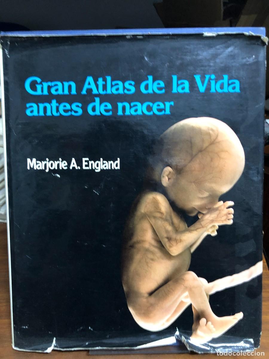 Libros: Gran Atlas de la Vida antes de nacer Marjorie A. England / Ed. Oc&eacute;ano