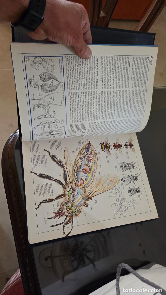 Libros: enciclopedia de estilo vintage - Foto 7