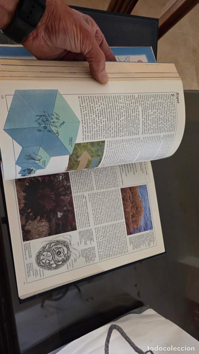 Libros: enciclopedia de estilo vintage - Foto 15