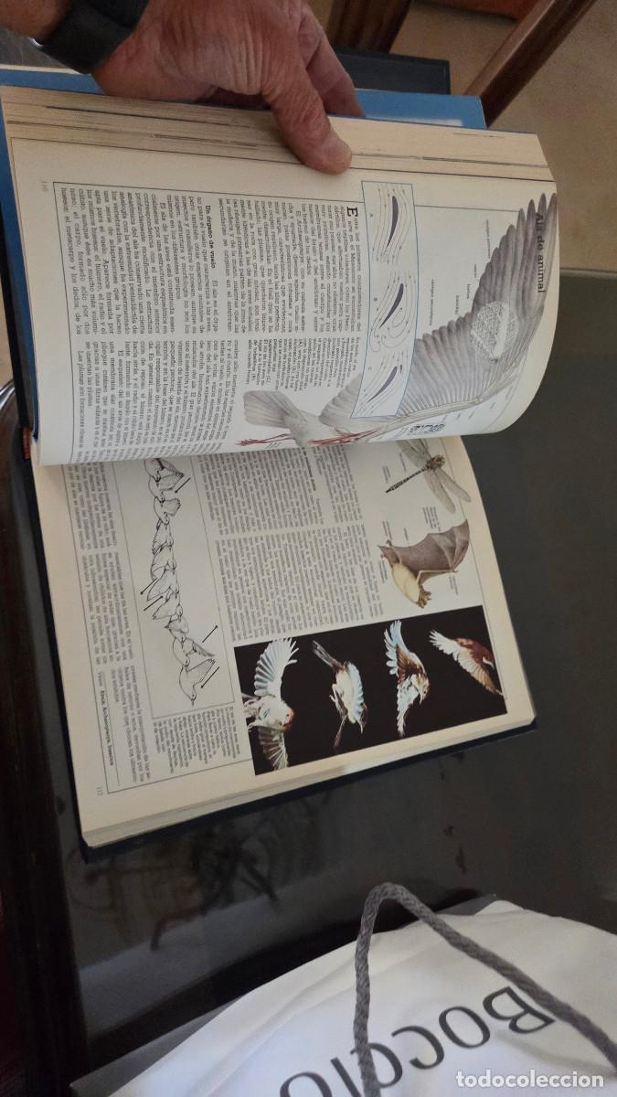 Libros: enciclopedia de estilo vintage - Foto 18