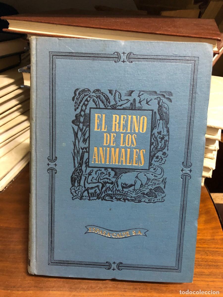 Libros: El Reino de los Animales: Los Animales de las Selvas Editorial Espasa-Calpe