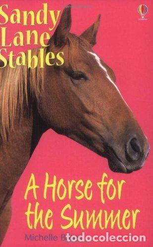 Livros em segunda m&atilde;o: A Horse for the Summer- 9780746024843
