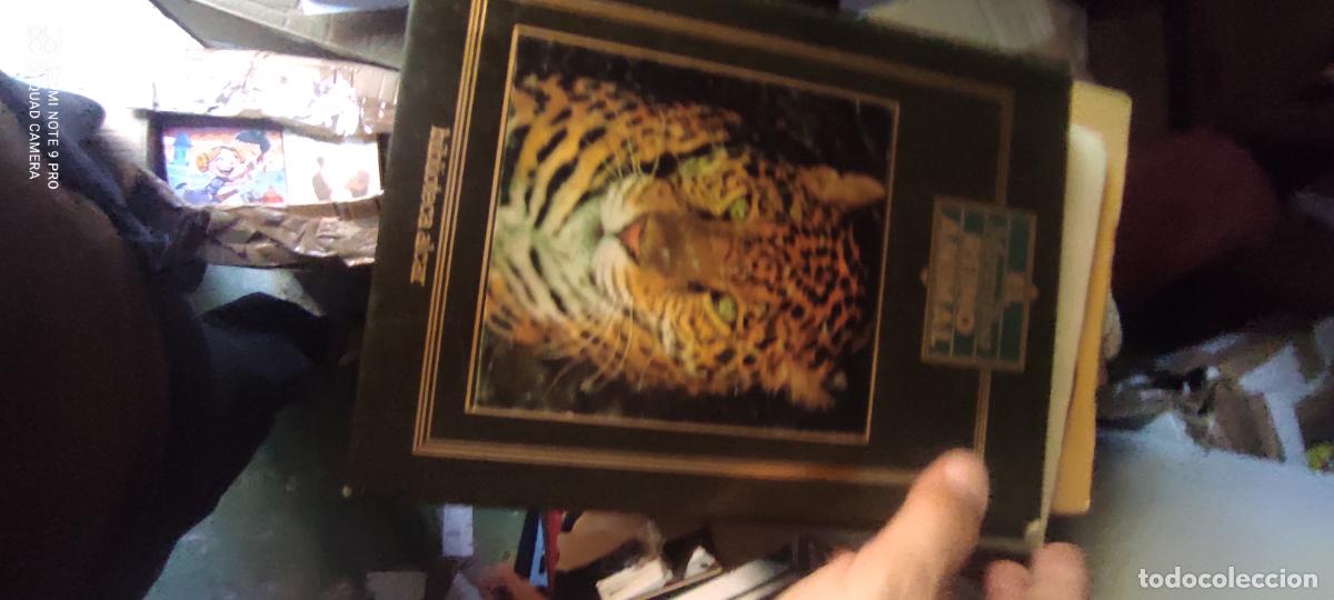Libros: El reino animal..... L