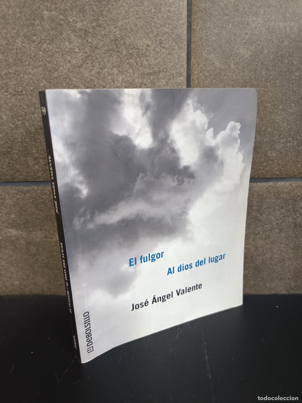 books: El fulgor / Al dios del lugar, Jos&eacute; &Aacute;ngel Valente