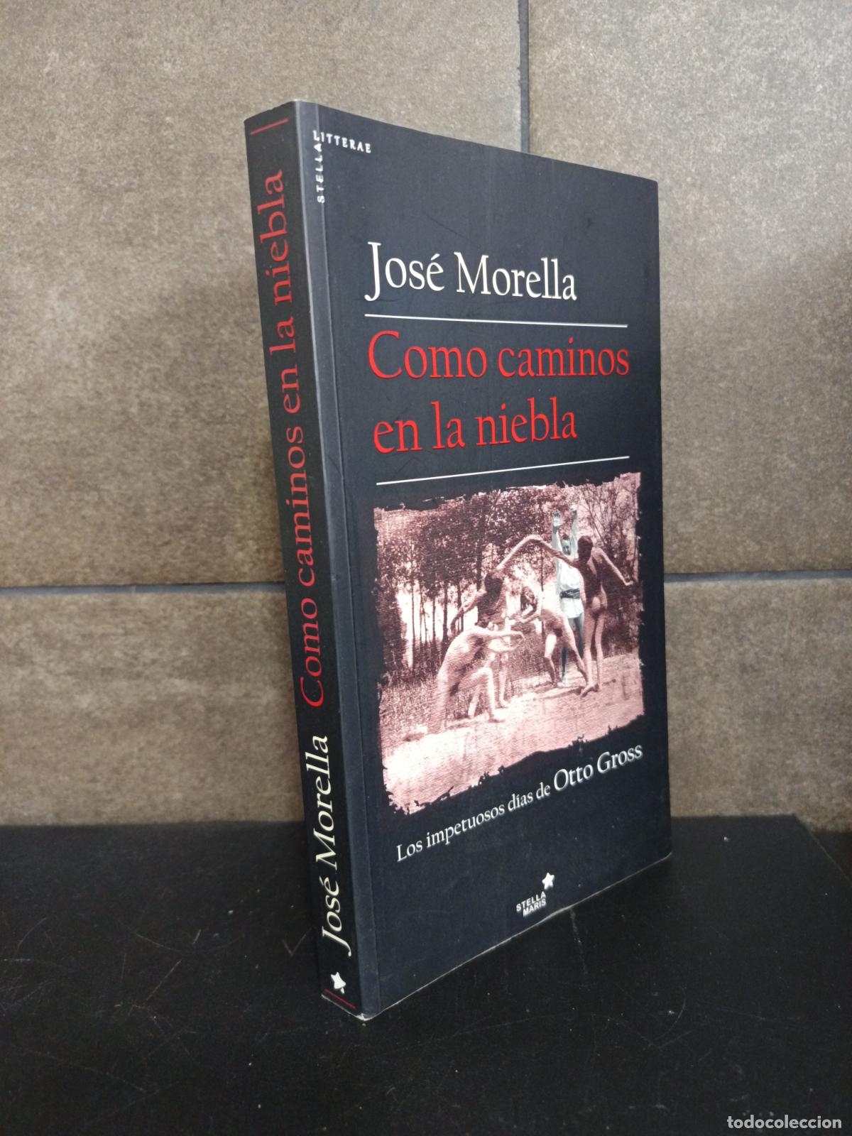 books: Como caminos en la niebla, Jos&eacute; Morella
