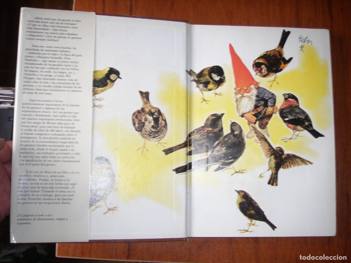 Libros: LIBRO GNOMOS EDITORIAL MONTENA MUY BONITO - Foto 3