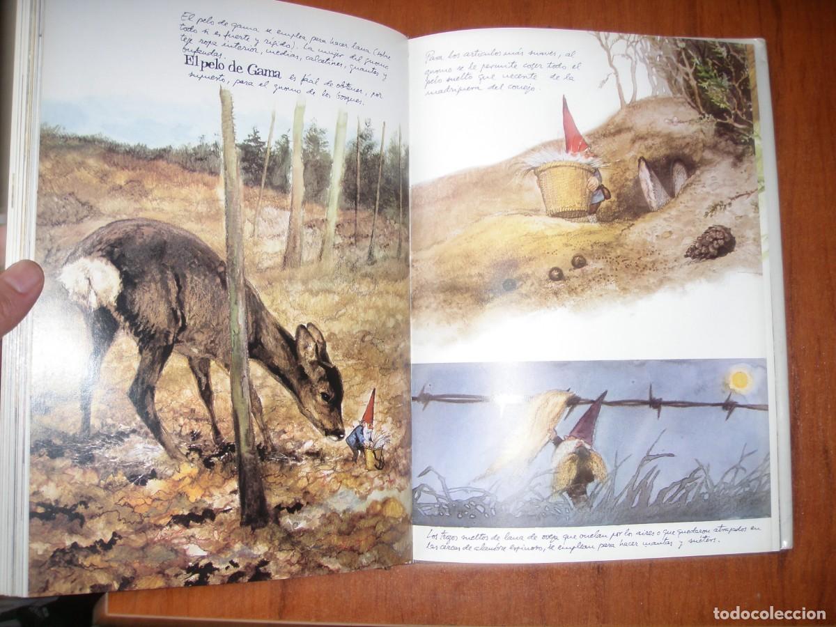 Libros: LIBRO GNOMOS EDITORIAL MONTENA MUY BONITO - Foto 4