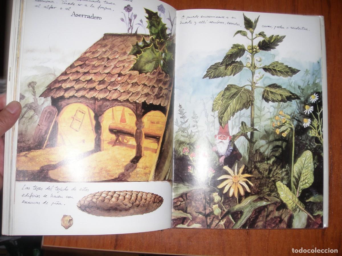Libros: LIBRO GNOMOS EDITORIAL MONTENA MUY BONITO - Foto 5