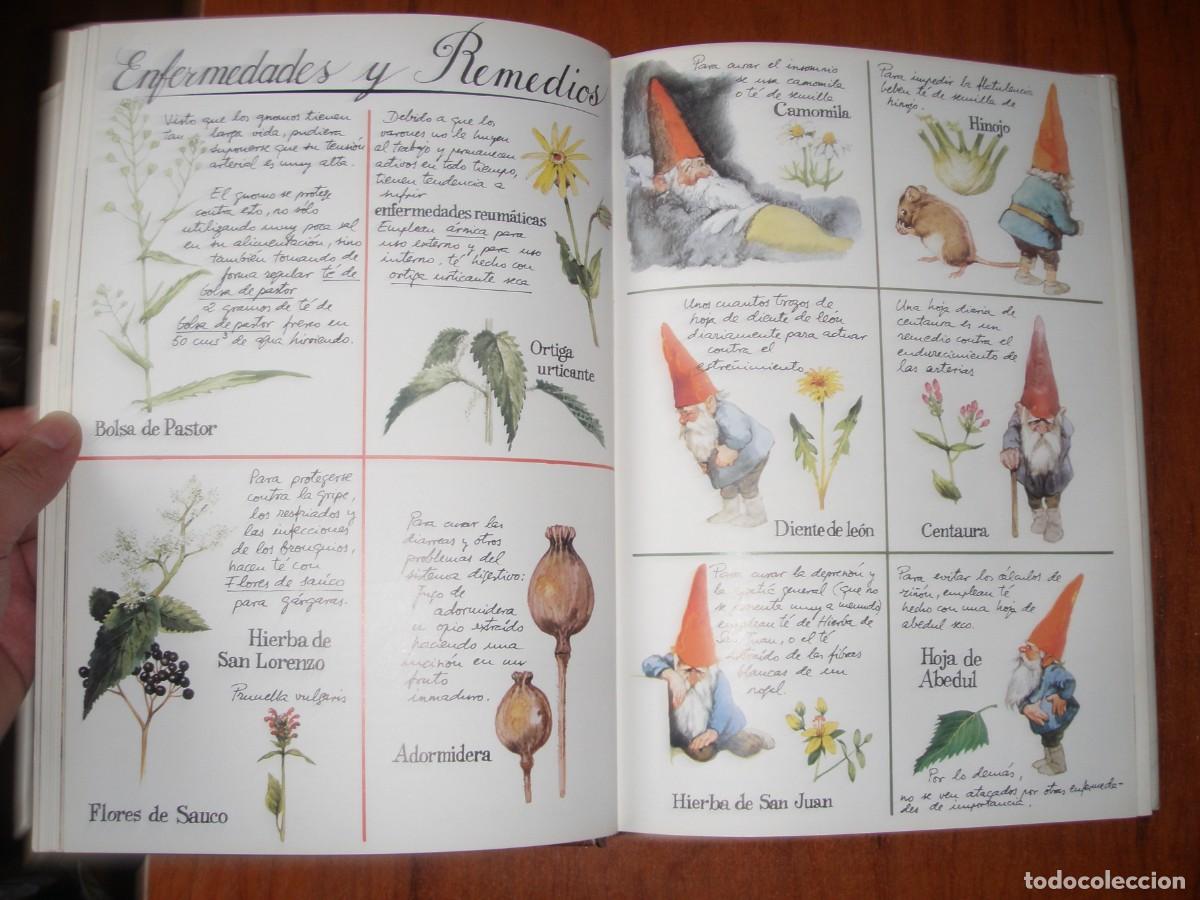 Libros: LIBRO GNOMOS EDITORIAL MONTENA MUY BONITO - Foto 7