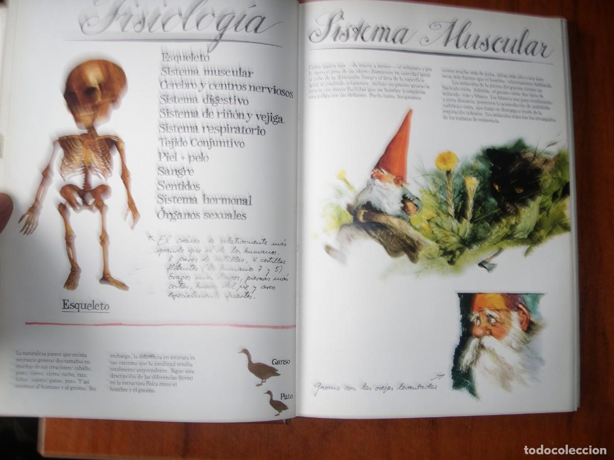 Libros: LIBRO GNOMOS EDITORIAL MONTENA MUY BONITO - Foto 8
