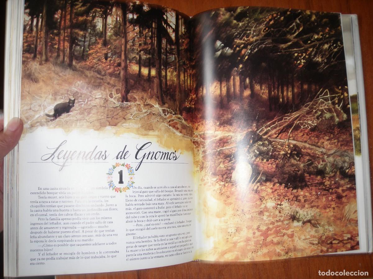 Libros: LIBRO GNOMOS EDITORIAL MONTENA MUY BONITO - Foto 11