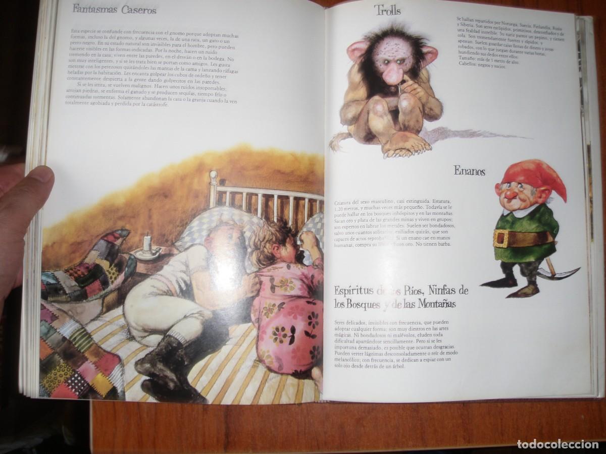 Libros: LIBRO GNOMOS EDITORIAL MONTENA MUY BONITO - Foto 12