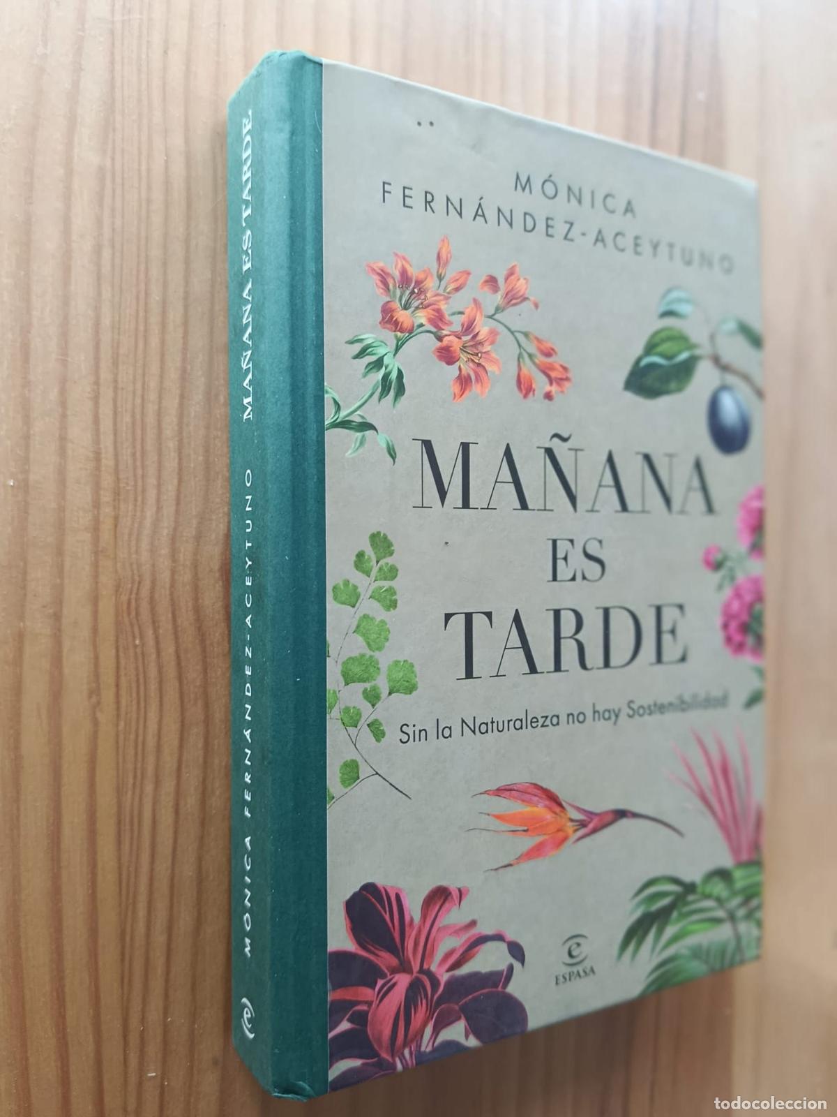 B&uuml;cher: Ma&ntilde;ana es tarde - M&oacute;nica Fern&aacute;ndez-Aceytuno