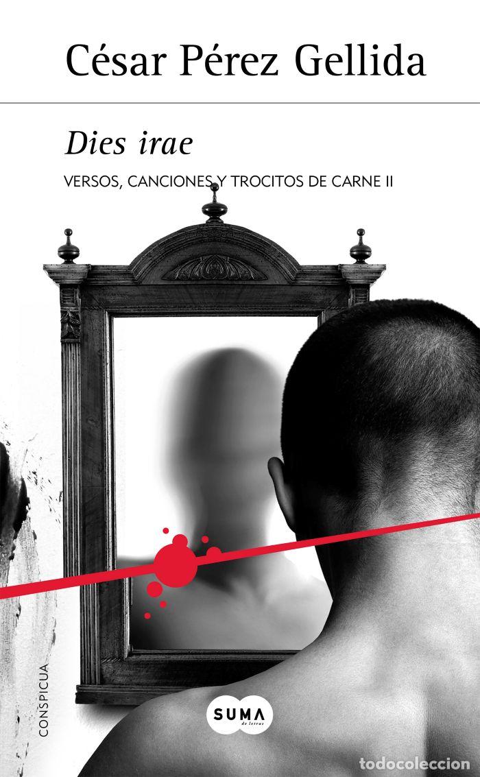 Livros em segunda m&atilde;o: DIES IRAE. VERSOS, CANCIONES Y TROCITOS DE CARNE (II) - C&eacute;sar P&eacute;rez Gellida