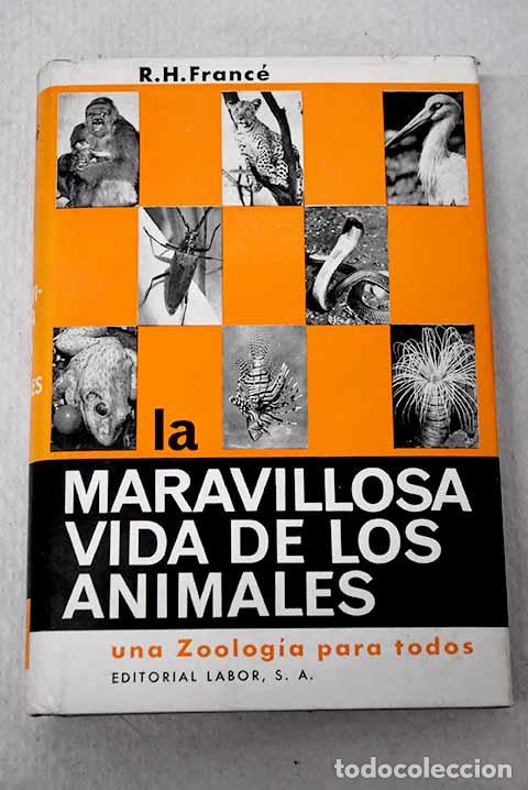 B&uuml;cher: La maravillosa vida de los animales: Una zoolog&iacute;a para todos.- Franc&eacute;, Raoul Heinrich