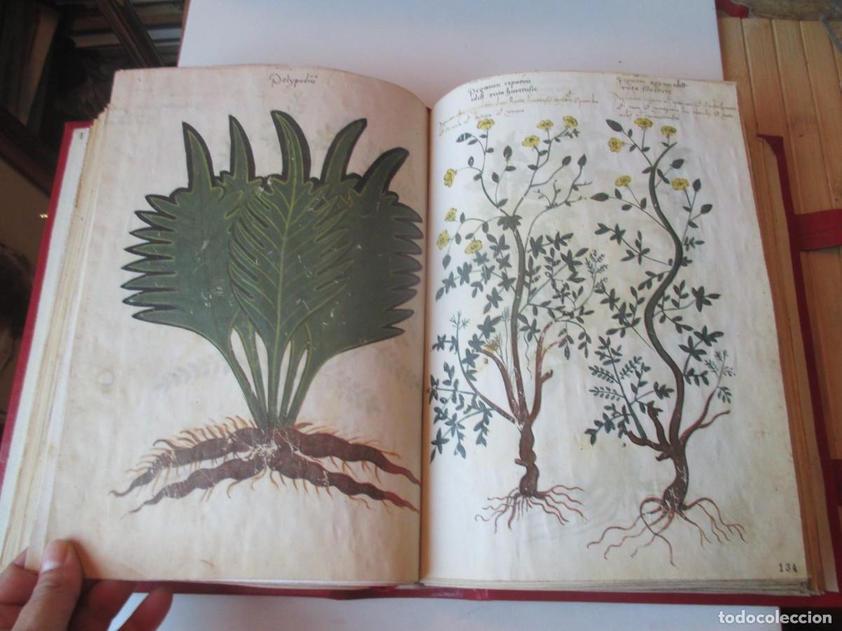 Libros: DIOSCURIDES GRAECO-LATINUS (facsimil) W41324 - Foto 4