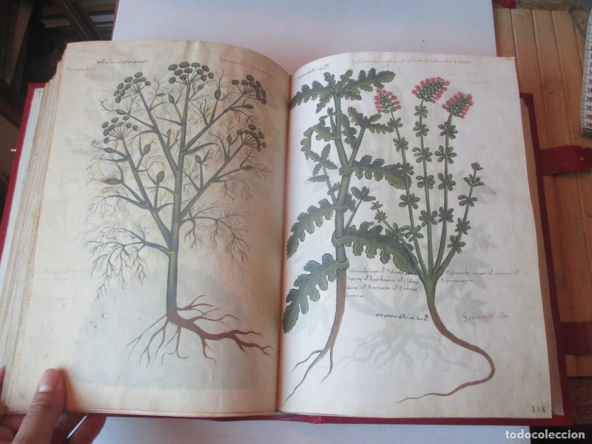 Libros: DIOSCURIDES GRAECO-LATINUS (facsimil) W41324 - Foto 5