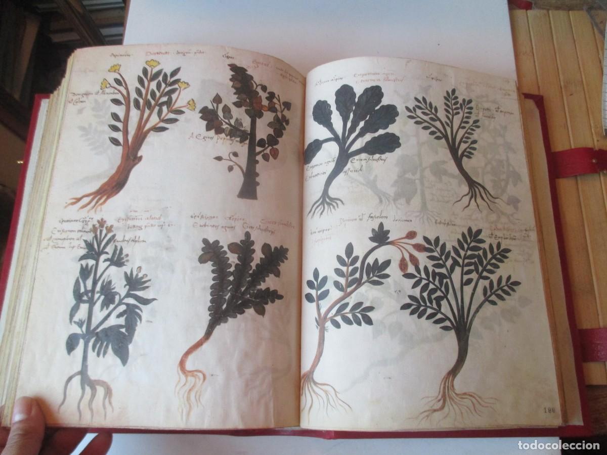 Libros: DIOSCURIDES GRAECO-LATINUS (facsimil) W41324 - Foto 6