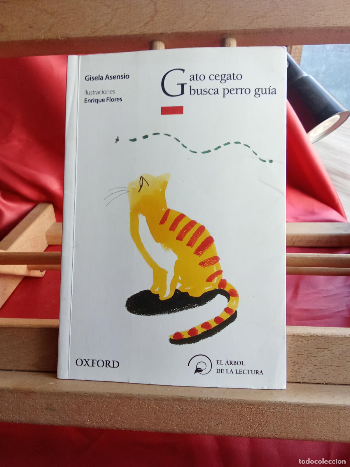 Libros: Gato cegato busca perro gu&iacute;a. Gisela Asensio L.11029-2041