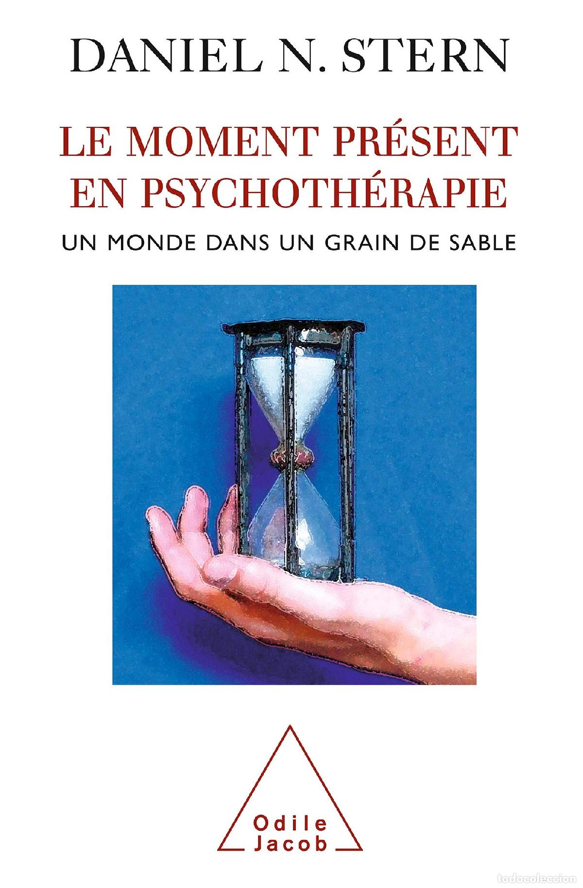 Libros: Le moment pr&eacute;sent en psychoth&eacute;rapie: Un monde dans un grain de sable