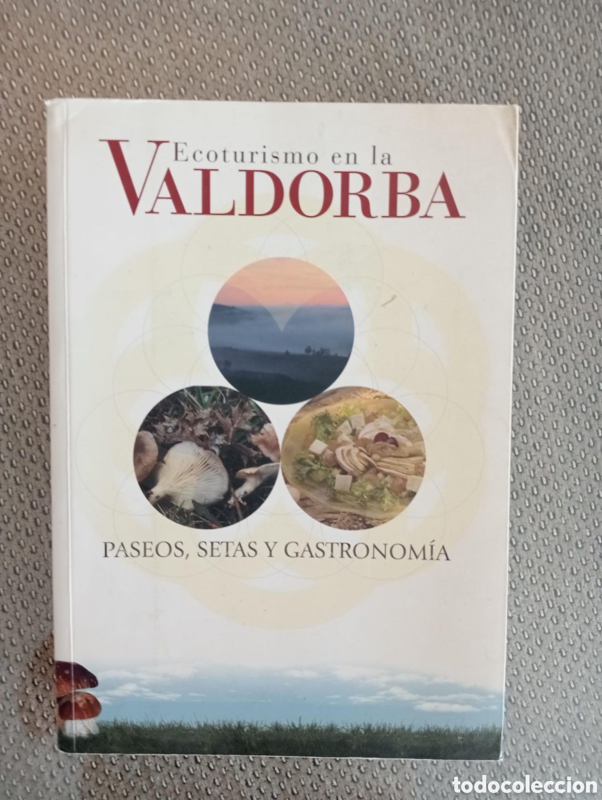 Libros: Ecoturismo en La Valdorba. Paseos setas y gastronom&iacute;a