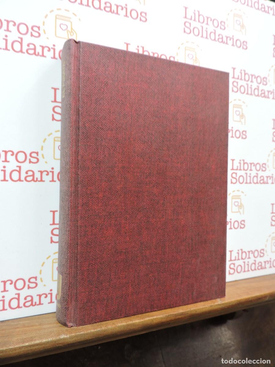 Libros: El Pirata. ROBBINS, Harold. Ed. Ultramar. 1975 - Foto 1