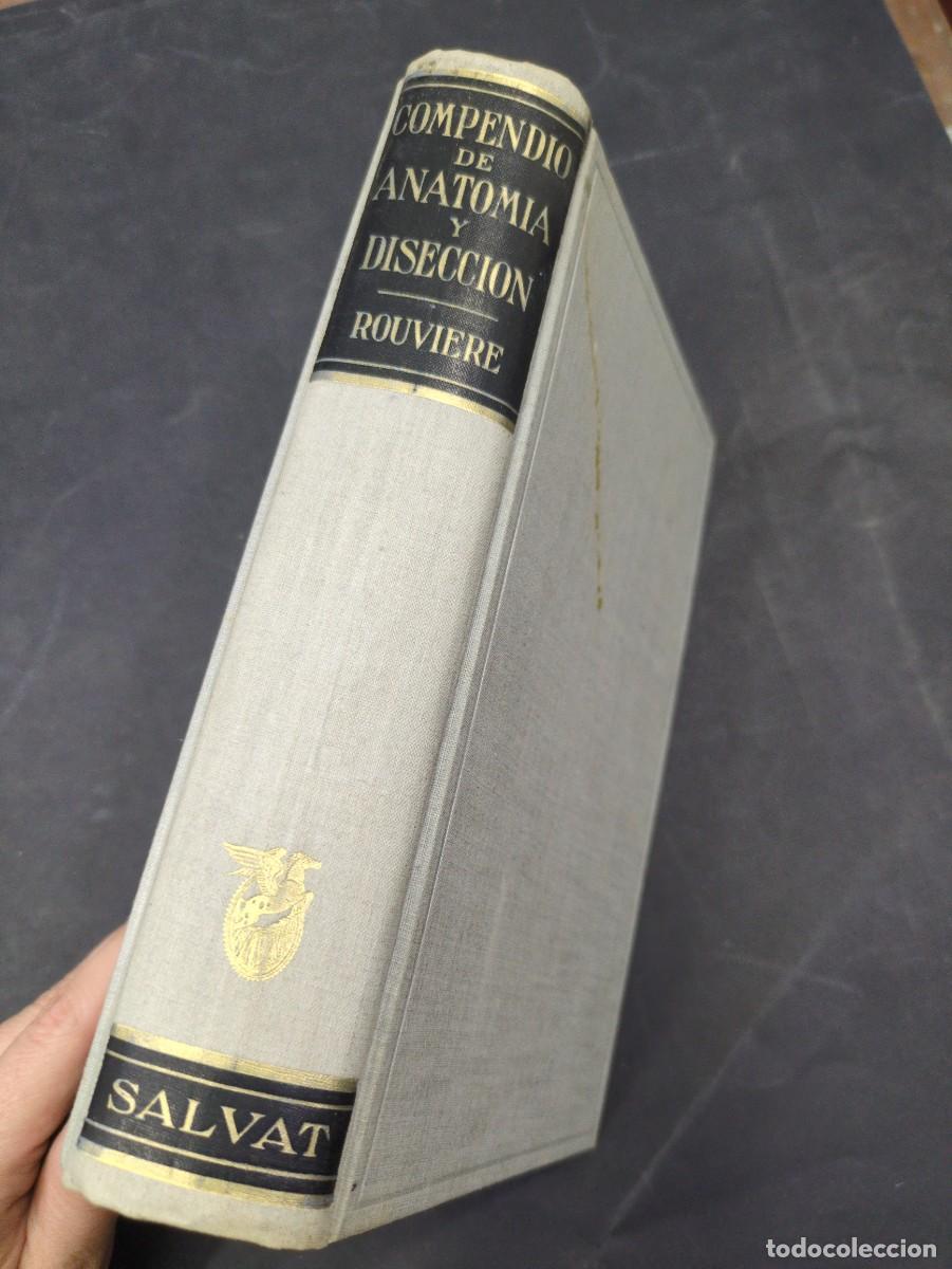 Libros: COMPENDIO DE ANATOM&Iacute;A DESCRIPTIVA - h rouviere - SALVAT EDITORES - 1959. - Foto 3