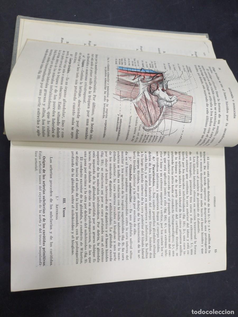 Libros: COMPENDIO DE ANATOM&Iacute;A DESCRIPTIVA - h rouviere - SALVAT EDITORES - 1959. - Foto 4