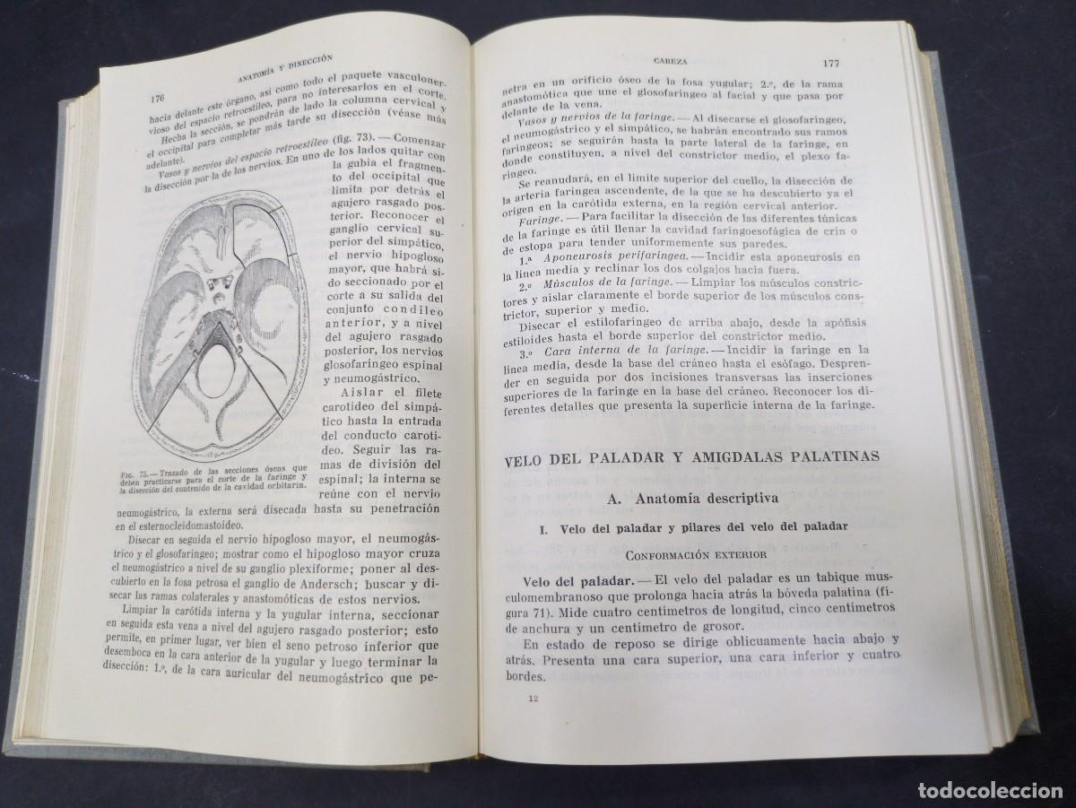 Libros: COMPENDIO DE ANATOM&Iacute;A DESCRIPTIVA - h rouviere - SALVAT EDITORES - 1959. - Foto 5