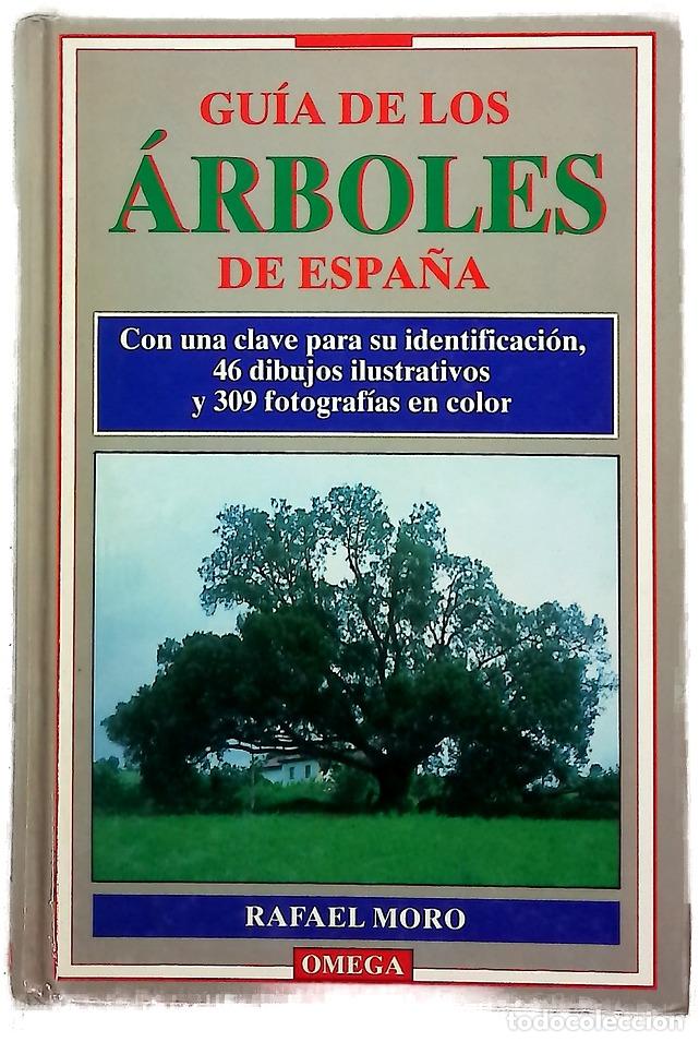 Libros: Gu&iacute;a de los &aacute;rboles de Espa&ntilde;a